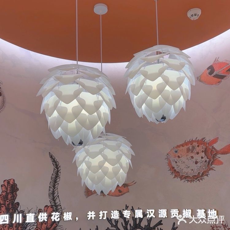 椒爱[爱心]水煮鱼🐟探店