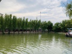 -微山湖红荷湿地景区