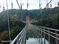 -九龙江国家森林公园