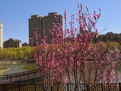-大连外国语大学(旅顺校区)