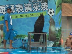 -苏州乐园森林水世界