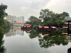 -侨美·唐荔园·40年地道粤菜