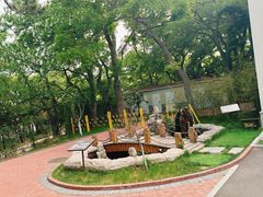 -八大关景区