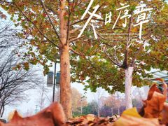 -大兴滨河森林公园