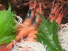 -匠和风精致料理(春熙路群光广场店)