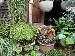 -龙姐私房菜(和顺古镇店)