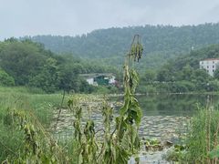 -东湖小天池真人CS彩弹野战基地