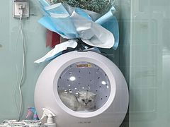 -中农大我爱我爱动物医院·核磁CT·猫病·24小时夜诊中心(石佛营店)