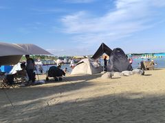 -呼兰河口湿地公园