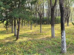 -东郊湿地公园