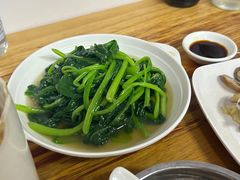 -广达眼镜炖罐(广达店)
