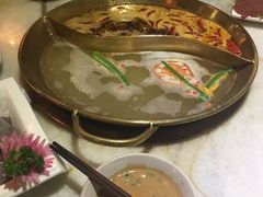 -杨家火锅(国美店)