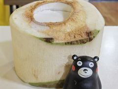 -志龙皇冠吃货椰子铺