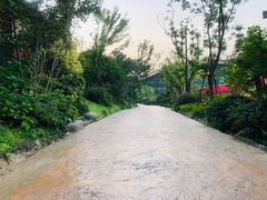 -杭州开元森泊度假乐园