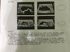 -派美特宠物医院·核磁CT·骨科肿瘤·疑难转诊(沈农禾丰店)
