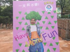 -热带风暴水上乐园
