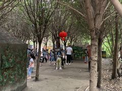 -勇士之星真人CS·团建·拓展(清水河公园店)