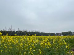 -上海杨姆庄园