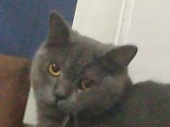 -荔康动物医院(康王北路店)