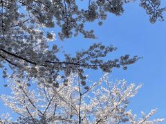 -龙美术馆(西岸馆)