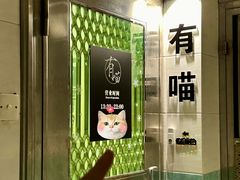 -有喵·猫咖·狗咖·30几只猫10只小狗(岗厦店)