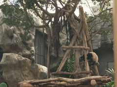 -香港海洋公园