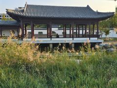 -水西公园
