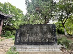 -云龙山
