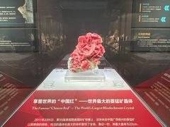 -湖南省地质博物馆