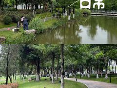 -映月湖公园