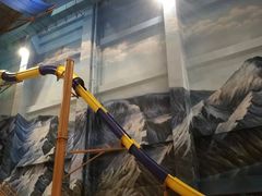 -长白山万达水乐园