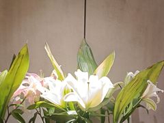 -鑫小城故事·藕汤·家常菜(台北一路总店)