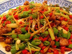 姜丝兔兔-新蜀会四川豆花(五羊店)