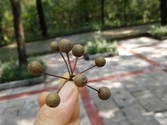 -天门寺