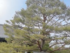 -清凉寺