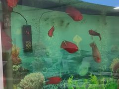 -雅悦齿科(顾村公园店)
