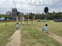 -上海长兴岛郊野公园