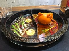 -渝大龙重庆火锅(温泉月亮湾店)