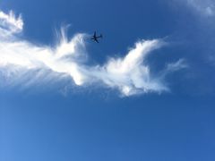 -上海滴水湖皇冠假日酒店