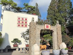 -龙华素斋(龙华路店)