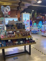 -卡通尼·Safari非洲探索乐园·生日会(金桥国际商业广场店)