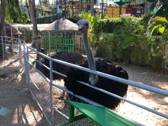 -三亚亚龙湾天域度假酒店