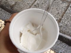 椰子雪糕-洪馨椰子