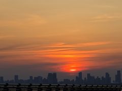 -合肥滨湖国家森林公园