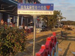 -莲花岛景区