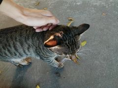 -小象钓虾·营地烧烤(洛溪店)