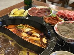 -重庆川渝肥妹火锅