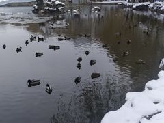 -团结湖公园