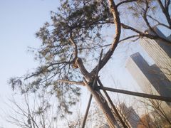 -西海子公园