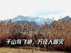 -青山湖景区